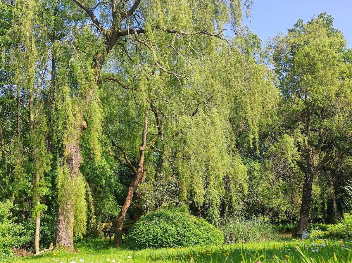 Le Moulin De Benneville Chambres D'Hotes, Petit Dejeuner Compris Cahagnes Buitenkant foto